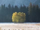 Yosemite Fall 044